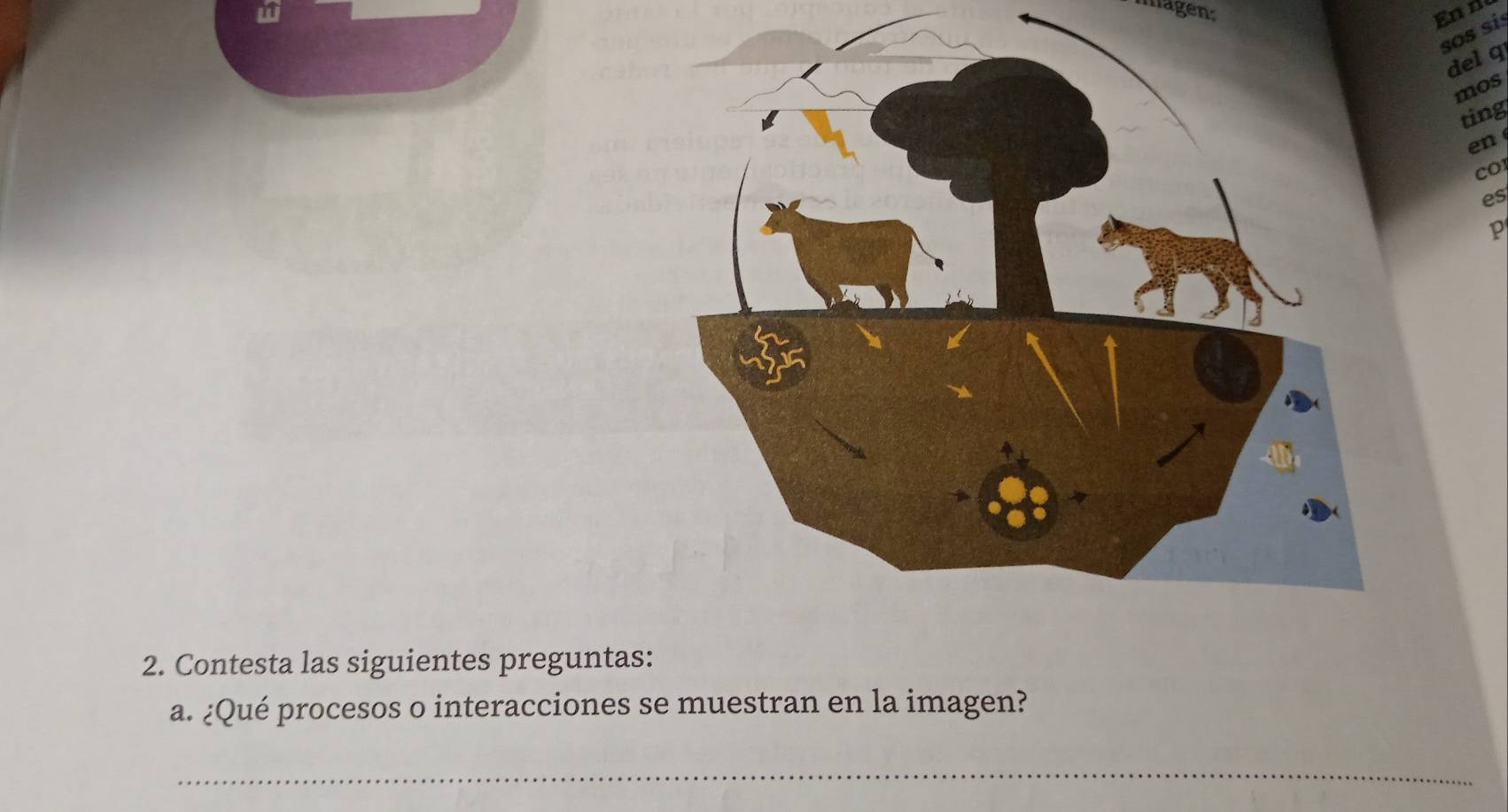 magen: En n 
sos sís 
del q 
mos 
ting 
en 
CO 
es 
p 
2. Contesta las siguientes preguntas: 
a. ¿Qué procesos o interacciones se muestran en la imagen? 
_