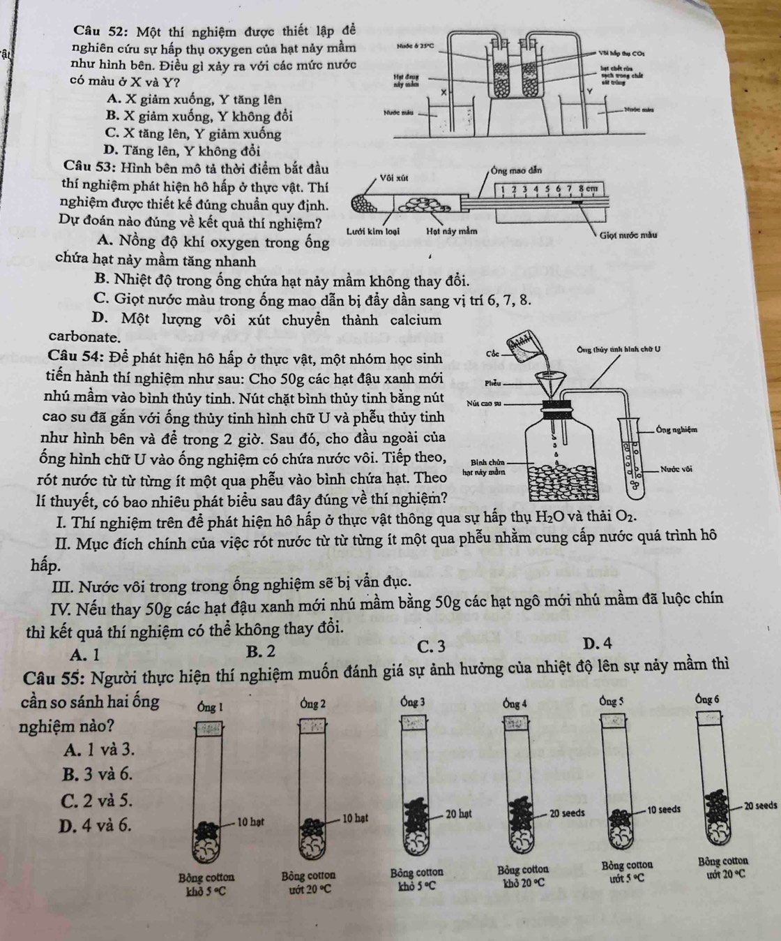 Một thí nghiệm được thiết lập đề
ât nghiên cứu sự hấp thụ oxygen của hạt nảy mầm
như hình bên. Điều gì xảy ra với các mức nước
có màu ở X và Y?
A. X giảm xuống, Y tăng lên
B. X giảm xuống, Y không đổi
C. X tăng lên, Y giảm xuống
D. Tăng lên, Y không đổi
Câu 53: Hình bên mô tả thời điểm bắt đầ
thí nghiệm phát hiện hô hấp ở thực vật. T
nghiệm được thiết kế đúng chuẩn quy địn
Dự đoán nào đúng về kết quả thí nghiệm
A. Nồng độ khí oxygen trong ốn
chứa hạt nảy mầm tăng nhanh
B. Nhiệt độ trong ống chứa hạt nảy mầm không thay đổi.
C. Giọt nước màu trong ống mao dẫn bị đầy dần sang vị trí 6, 7, 8.
D. Một lượng vôi xút chuyển thành calcium
carbonate.
Câu 54: Để phát hiện hô hấp ở thực vật, một nhóm học sinh
tiến hành thí nghiệm như sau: Cho 50g các hạt đậu xanh mới
nhú mầm vào bình thủy tinh. Nút chặt bình thủy tinh bằng nút
cao su đã gắn với ống thủy tinh hình chữ U và phễu thủy tinh
như hình bên và để trong 2 giờ. Sau đó, cho đầu ngoài của
ống hình chữ U vào ống nghiệm có chứa nước vôi. Tiếp theo,
rót nước từ từ từng ít một qua phễu vào bình chứa hạt. Theo
lí thuyết, có bao nhiêu phát biều sau đây đúng về thí nghiệm?
I. Thí nghiệm trên để phát hiện hô hấp ở thực vật thông qua sự hấp thụ H_2O và thải O_2.
II. Mục đích chính của việc rót nước từ từ từng ít một qua phễu nhằm cung cấp nước quá trình hô
hấp.
III. Nước vôi trong trong ống nghiệm sẽ bị vẫn đục.
IV. Nếu thay 50g các hạt đậu xanh mới nhú mầm bằng 50g các hạt ngô mới nhú mầm đã luộc chín
thì kết quả thí nghiệm có thể không thay đổi.
A. 1 B. 2 C. 3
D. 4
Câu 55: Người thực hiện thí nghiệm muốn đánh giá sự ảnh hưởng của nhiệt độ lên sự nảy mầm thì
cần so sánh hai
nghiệm nào?
A. 1 và 3
B. 3 và 6.
C. 2 và 5.- 20 seeds
D. 4 và 6.