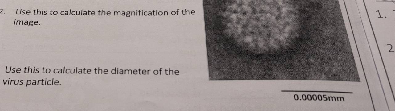 Use this to calculate the magnification of the 1. 
image. 
2 
Use this to calculate the diameter of the 
_ 
virus particle.
0.00005mm