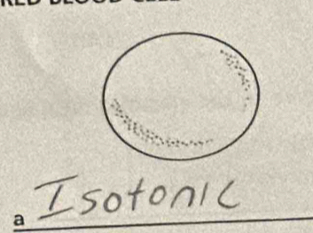 Isotonic