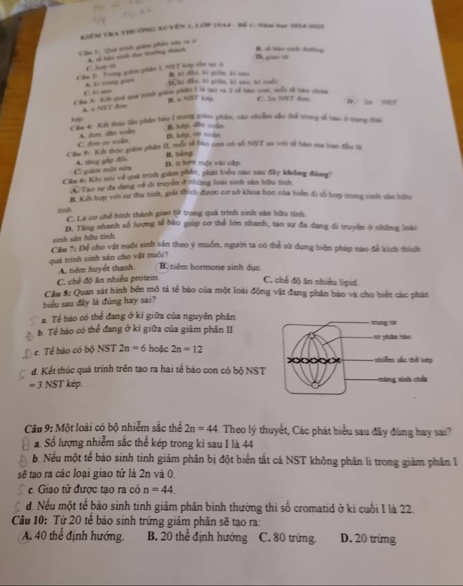 KIÊM THLA THÔNG XUVÊN 1, LÁP INA4 - Bế 1: 700 học 1054-5059
Cầm 1: Quả t9h giả phẩn xip cx c
A. oổ háo sinh đực tranờng thànhh B. sả tưu sanh doling
D gian tử
C. hợp tử
Căm 2: Trong giám phẩn L NVT lp tên si ở
B, 21 đảu, kí giữm, kí coo
A. kí tung gian
Th hi đầo, kả giữn, ki seo, ki cuối
C. k: a
Cần X Kết quá quả trình giám phẩn 1 là tạo ra 2 tả làn com, mổi số táp chưn C. 2s NT 6om
B. n NSIT kếp
D， Jis 108T
A. o NST đợm
Cân 4: Xế thục tần phần hào 1 trong tiêm phân, các nhuẩm sắc thể trong số lan ở tang thời
A. đơn, dân xoắn B. kép, dân xoắn
C. đơm cơ xoân D. kép. ∞0 soàn
Cầu 5: Kết thức giám phần II, mỗt tế bào con có số NST to với tế bào me bợn đầu là
A. tăng gấp đối B. háng
D. it hơn một vài cập
C giám một nửa
Cầu 6: Khi nói về quá trính giám phần, phát biểu nào sau đây không đồng?
A. Tao sự đa dang về di truyền ở những loài sinh sản hữu tính
H. Kết hợp với sự thụ tinh, giải thích được cơ sở khoa học của biển đị tố hợp trong sinh sân hữu
tinh C. Là cơ chế hình thành giao tử trong quả trình sinh sản hữu tính
D. Tăng nhanh số lượng tế bào giúp cơ thể lớn nhanh, tạo sự đa dạng đi truyền ở những loài
sinh sản hữu tính
Câu 7: Để cho vật nuôi sinh sản theo ý muốn, người ta có thể sứ dụng biển pháp nào đề kích thích
quá trính sinh sản cho vật nuôi?
A. tiêm huyết thanh B tiêm hormone sinh dục
C. chế đô ăn nhiều protein. C. chế độ ăn nhiều lipid
Câu 8: Quan sát hình bên mô tả tế báo của một loài động vật đang phân bào và cho biết các phát
biểu sau đây là đúng hay sai?
a. Tề bào có thể đang ở ki giữa của nguyên phân.
b. Tể bào có thể đang ở kỉ giữa của giảm phân II
c. Tề bảo có bộ NST 2n=6 hoặc 2n=12
d. Kết thúc quá trình trên tạo ra hai tế bào con có bộ NST
=3NST kép. 
Câu 9: Một loài có bộ nhiễm sắc thể 2n=44. Theo lý thuyết, Các phát biểu sau đây đúng hay sai?
a Số lượng nhiễm sắc thể kép trong kì sau I là 44
b. Nếu một tế bào sinh tinh giảm phân bị đột biển tất cả NST không phân li trong giảm phân I
sẽ tạo ra các loại giao tử là 2n và 0,
e. Giao tử được tạo ra có n=44.
đ. Nếu một tế bào sinh tinh giảm phân bình thường thì số cromatid ở kì cuối I là 22.
Câu 10: Từ 20 tế bảo sinh trứng giảm phân sẽ tạo ra:
A 40 thể định hướng. B. 20 thể định hướng C. 80 trứng D. 20 trừng