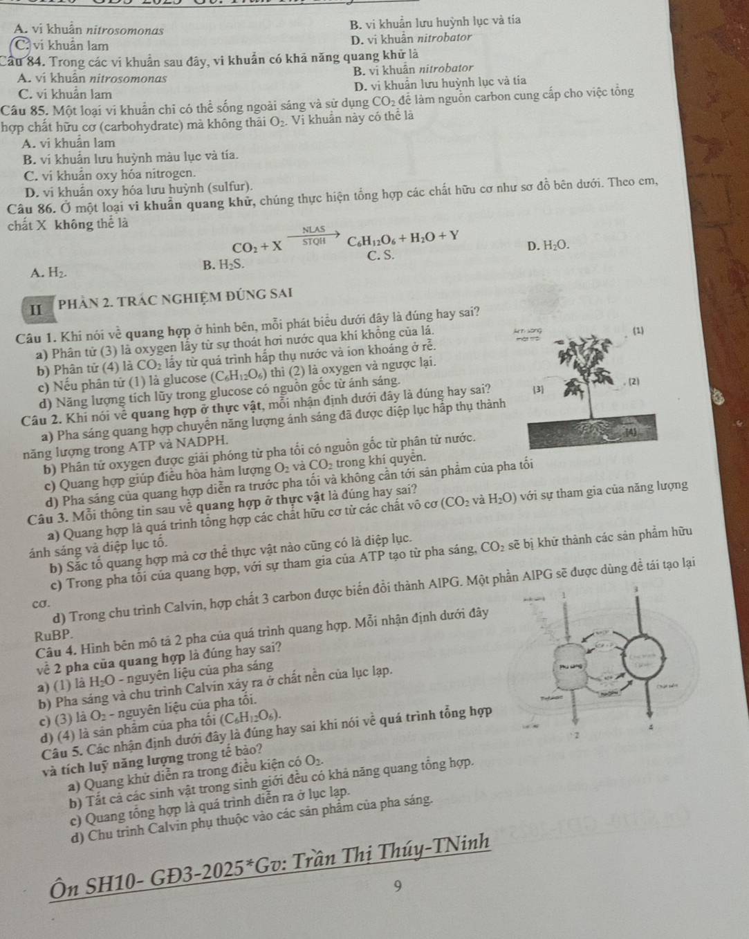 A. vi khuẩn nitrosomonas B. vi khuẩn lưu huỳnh lục và tía
C. vi khuẩn lam D. vị khuẩn nitrobator
Cầu 84. Trong các vi khuẩn sau đây, vi khuẩn có khả năng quang khử là
A. ví khuân nitrosomonas B. vi khuân nitrobator
C. vi khuẩn lam D. vi khuân lưu huỳnh lục và tía
Câu 85. Một loại vi khuẩn chỉ có thể sống ngoài sáng và sử dụng 6 CO_2 để làm nguồn carbon cung cấp cho việc tổng
hợp chất hữu cơ (carbohydrate) mà không thải O_2. Vi khuẩn này có thể là
A. vi khuân lam
B. vi khuẩn lưu huỳnh màu lục và tía.
C. vi khuẩn oxy hóa nitrogen.
D. vi khuẩn oxy hóa lưu huỳnh (sulfur).
Câu 86. Ở một loại vi khuẩn quang khử, chúng thực hiện tổng hợp các chất hữu cơ như sơ đồ bên dưới. Theo em,
chất X không thể là
CO_2+Xxrightarrow NUSC_6H_12O_6+H_2O+Y
A. H_2.
B. H_2S. C. S. D. H_2O.
II phản 2. tRAc ngHiệM đÚng Sai
Câu 1. Khi nói về quang hợp ở hình bên, mỗi phát biểu dưới đậy là đúng hay sai?
a) Phân tử (3) là oxygen lấy từ sự thoát hơi nước qua khí khổng của lá. 
b) Phân tử (4) là CO 2 lấy từ quả trình hấp thụ nước và ion khoảng ở rễ. 
c) Nếu phân tử (1) là glucose (C_6H_12O_6) thì (2) là oxygen và ngược lại.
d) Năng lượng tích lũy trong glucose có nguồn gốc từ ánh sáng.
Câu 2. Khi nói về quang hợp ở thực vật, mỗi nhận định dưới đây là dúng hay sai? 
a) Pha sáng quang hợp chuyển năng lượng ánh sáng đã được diệp lục hấp thụ thàn
năng lượng trong ATP và NADPH.
b) Phân tử oxygen được giải phóng từ pha tối có nguồn gốc từ phân từ nước.
c) Quang hợp giúp điều hòa hàm lượng O_2 và CO_2 trong khí quyền.
d) Pha sáng của quang hợp diễn ra trước pha tối và không cần tới sản phẩm của pha tối
Câu 3. Mỗi thông tin sau về quang hợp ở thực vật là đúng hay sai?
a) Quang hợp là quá trinh tổng hợp các chất hữu cơ từ các chất vô csigma (CO_2 và H_2O) với sự tham gia của năng lượng
ánh sáng và diệp lục tố.
b) Sắc tổ quang hợp mả cơ thể thực vật nào cũng có là diệp lục.
c) Trong pha tối của quang hợp, với sự tham gia của ATP tạo từ pha sáng, CO_2 sẽ bị khữ thành các sản phẩm hữu
d) Trong chu trình Calvin, hợp chất 3 carbon được biển đổi thành AlPG. Một phần AlPG sẽ được dùng đề tái tạo lại
ca. 
Câu 4. Hình bên mô tả 2 pha của quá trình quang hợp. Mỗi nhận định dưới đây
RuBP.
về 2 pha của quang hợp là đúng hay sai?
a) (1) là H_2O - nguyên liệu của pha sáng
b) Pha sáng và chu trình Calvín xảy ra ở chất nền của lục lạp.
c) (3) là O_2 - nguyên liệu của pha tối.
d) (4) là sản phẩm của pha tối (C_6H_12O_6).
Câu 5. Các nhận định dưới đây là đúng hay sai khi nói về quá trình tổng hợp
và tích luỹ năng lượng trong tế bào?
a) Quang khử diễn ra trong điều kiện có O_2.
b) Tất cả các sinh vật trong sinh giới đều có khả năng quang tổng hợp.
c) Quang tổng hợp là quá trình diễn ra ở lục lạp.
d) Chu trinh Calvin phụ thuộc vào các sản phẩm của pha sáng.
Ôn SH10- GĐ3-20 12 5*Gv: Trần Thị Thúy-TNinh
9