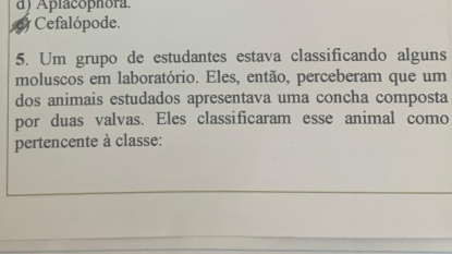 d) Aplacophora.
) Cefalópode.
5. Um grupo de estudantes estava classificando alguns
moluscos em laboratório. Eles, então, perceberam que um
dos animais estudados apresentava uma concha composta
por duas valvas. Eles classificaram esse animal como
pertencente à classe: