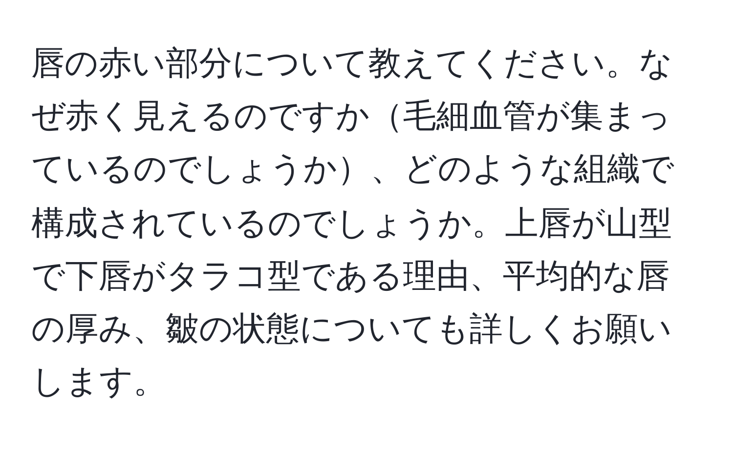 唇の赤い部分について教えてください。なぜ赤く見えるのですか毛細血管が集まっているのでしょうか、どのような組織で構成されているのでしょうか。上唇が山型で下唇がタラコ型である理由、平均的な唇の厚み、皺の状態についても詳しくお願いします。