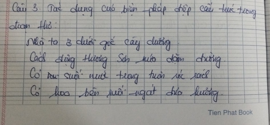 Cai 3. Gad dung cub biàn paáe chèp ead thuo tuong 
otccn the: 
Mo to B duài goè cay clubig 
Cads dlìng thioug Sǎn juǎo dàin dujing 
Co sui qu tenug tuon nài kacs 
Co Zoo bén quà -ugat duo luǐng