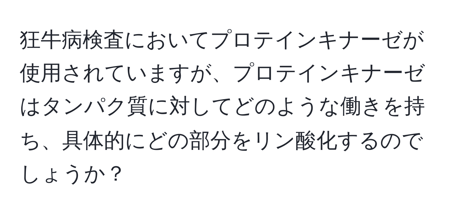 狂牛病検査においてプロテインキナーゼが使用されていますが、プロテインキナーゼはタンパク質に対してどのような働きを持ち、具体的にどの部分をリン酸化するのでしょうか？