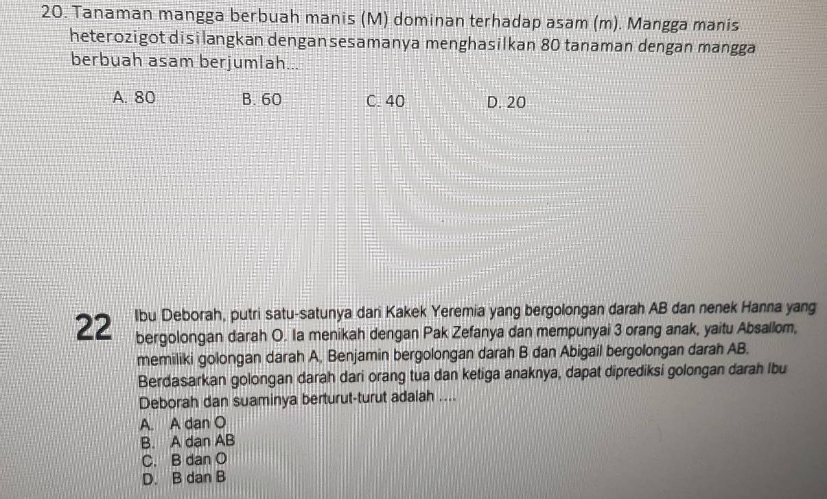 Tanaman mangga berbuah manis (M) dominan terhadap asam (m). Mangga manis
heterozigot disilangkan dengansesamanya menghasilkan 80 tanaman dengan mangga
berbuah asam berjumlah...
A. 80 B. 60 C. 40 D. 20
22 Ibu Deborah, putri satu-satunya dari Kakek Yeremia yang bergolongan darah AB dan nenek Hanna yang
bergolongan darah O. Ia menikah dengan Pak Zefanya dan mempunyai 3 orang anak, yaitu Absallom,
memiliki golongan darah A, Benjamin bergolongan darah B dan Abigail bergolongan darah AB.
Berdasarkan golongan darah dari orang tua dan ketiga anaknya, dapat diprediksi golongan darah lbu
Deborah dan suaminya berturut-turut adalah ....
A. A dan O
B. A dan AB
C. B dan O
D. B dan B