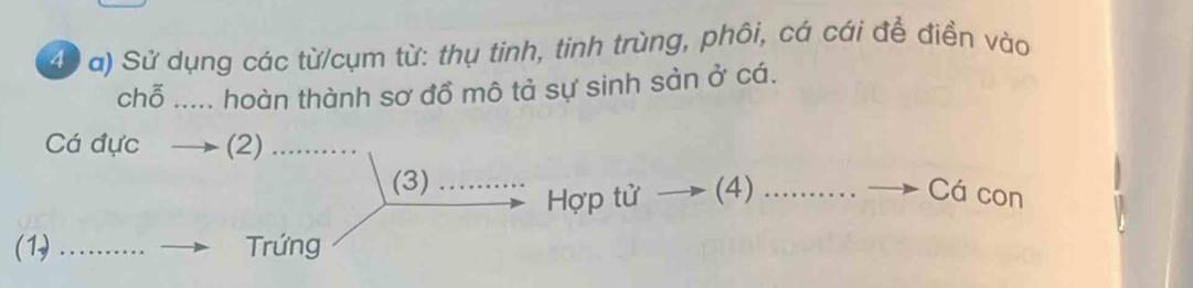 Sử dụng các từ/cụm từ: thụ tinh, tinh trùng, phôi, cá cái để điền vào 
chỗ ..... hoàn thành sơ đồ mô tả sự sinh sản ở cá. 
Cá đực (2) 
(3) Hợp tử (4) _Cá con 
(1) …… Trứng