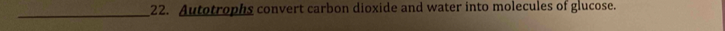 Autotrophs convert carbon dioxide and water into molecules of glucose.