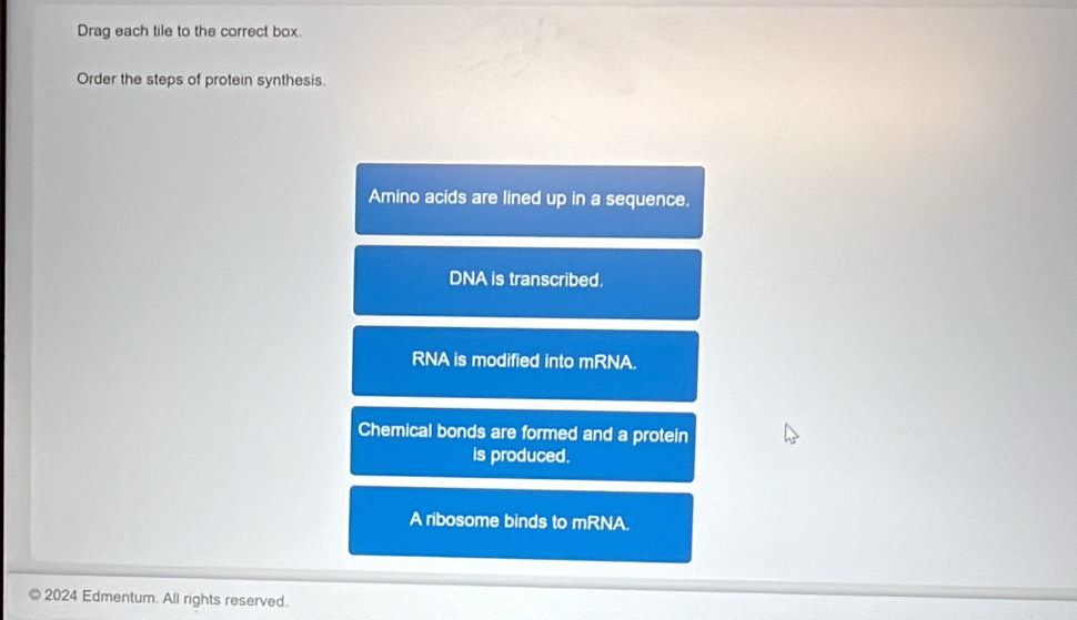 Drag each tile to the correct box. 
Order the steps of protein synthesis. 
Amino acids are lined up in a sequence. 
DNA is transcribed. 
RNA is modified into mRNA. 
Chemical bonds are formed and a protein 
is produced. 
A ribosome binds to mRNA. 
2024 Edmentum. All rights reserved.