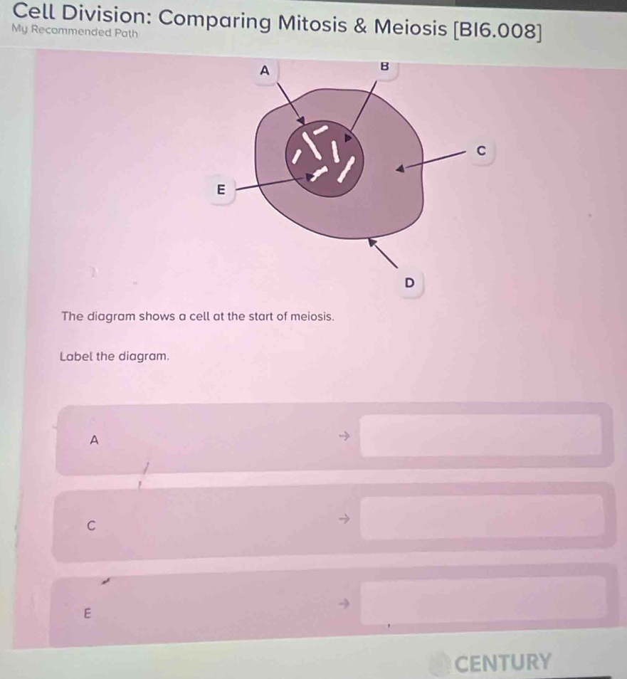 Cell Division: Comparing Mitosis & Meiosis [BI6.008] 
My Recommended Path 
The diagram shows a cell at the start of meiosis. 
Label the diagram. 
A 
C 
F 
CENTURY