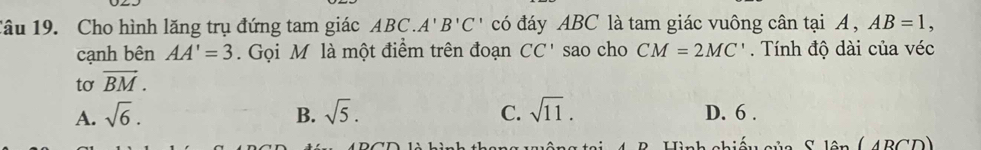 Cho hình lăng trụ đứng tam giác ABC. A'B'C' có đáy ABC là tam giác vuông cân tại A, AB=1, 
cạnh bên AA'=3. Gọi M là một điểm trên đoạn CC' sao cho CM=2MC'. Tính độ dài của véc
tơ vector BM.
A. sqrt(6). B. sqrt(5). C. sqrt(11). D. 6.
n g t ạ i 4 B Hình chiếu củ a ADC