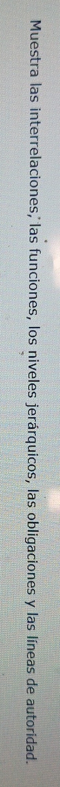 Muestra las interrelaciones, las funciones, los niveles jerárquicos, las obligaciones y las líneas de autoridad.