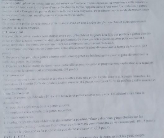 Chez le poulet, plusieurs mutations ont été mises en évidence. Parmi celles-ci, la mutation « crête rosacée »
ou « crête en rosé » est à l'origine d'une crête dont la forme rappelle celle d'une rosé. La mutation « pattes
ourtes n est à l'origine de pattes de taille inférieure à la moyenne. Pour déterminer le mode de transmission
e  ée  eux mutations, on effectue les croisements suivants :
fer C roisement
Un croise une poule de race pure à crête rosacée avec un coq à crête simple : on obtient alors uniquement
des poulets à crête rosacée
2e Croisement
Des poulets à pattes courtes sont croisés entre eux . On obtient toujours à la fois des poulets à pattes courtes
et des poulets à pattes normales, dans des proportions de deux poulets à pattes courtes pour un poulet à
pattes normales. En outre, environ un quart des embryons meurt avant réclusion.
l Détermner les rélations de dominance entre allèles pour le gène déterminant la forme de la crête. (0,5
po urin
*  Preciser si les poulets à pattes courtes sont homozygotes ou hétérozygotes pour le gène déterminant la
arle des pattes. (0.5 point)
:  Determiner les rélations de dominance entre allèles pour ce gène et proposer une explication aux résultats
btemis pour le croisement correspondant. (01 point)
We Croisement
n croise un coq a crête rosacce et à pattes courtes avec une poule à crête simple et à pattes normales. La
rencration F1 tourmt 50 % de poulets à crête rosacée et à pattes courtes et 50 % de poulets à crête rosacée et
a pattes cormales 
Ieme Crosement
en on croise les individus F1 à crête rosacée et pattes courtes entre eux. On obtient alors dans la
descendance
u poulets à crête rosacée et à pattes courtes,
26 poulets à crête simple et à pattes normales,
?4 acuts non eclos
L  e xpliquer les résultats obtenus et déterminer la position rélative des deux gènes étudiés sur les
o  nsenes (vous présentérez l'échiquier de croisement correspondant au 4e croisement). (01, 5 point)
、  Donner le génotype de la poule et du coq du 3e croisement. (0,5 point)
EXERCICE 19 nommales. le coros gris et les yeux rouges.