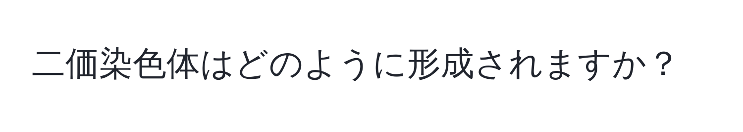 二価染色体はどのように形成されますか？