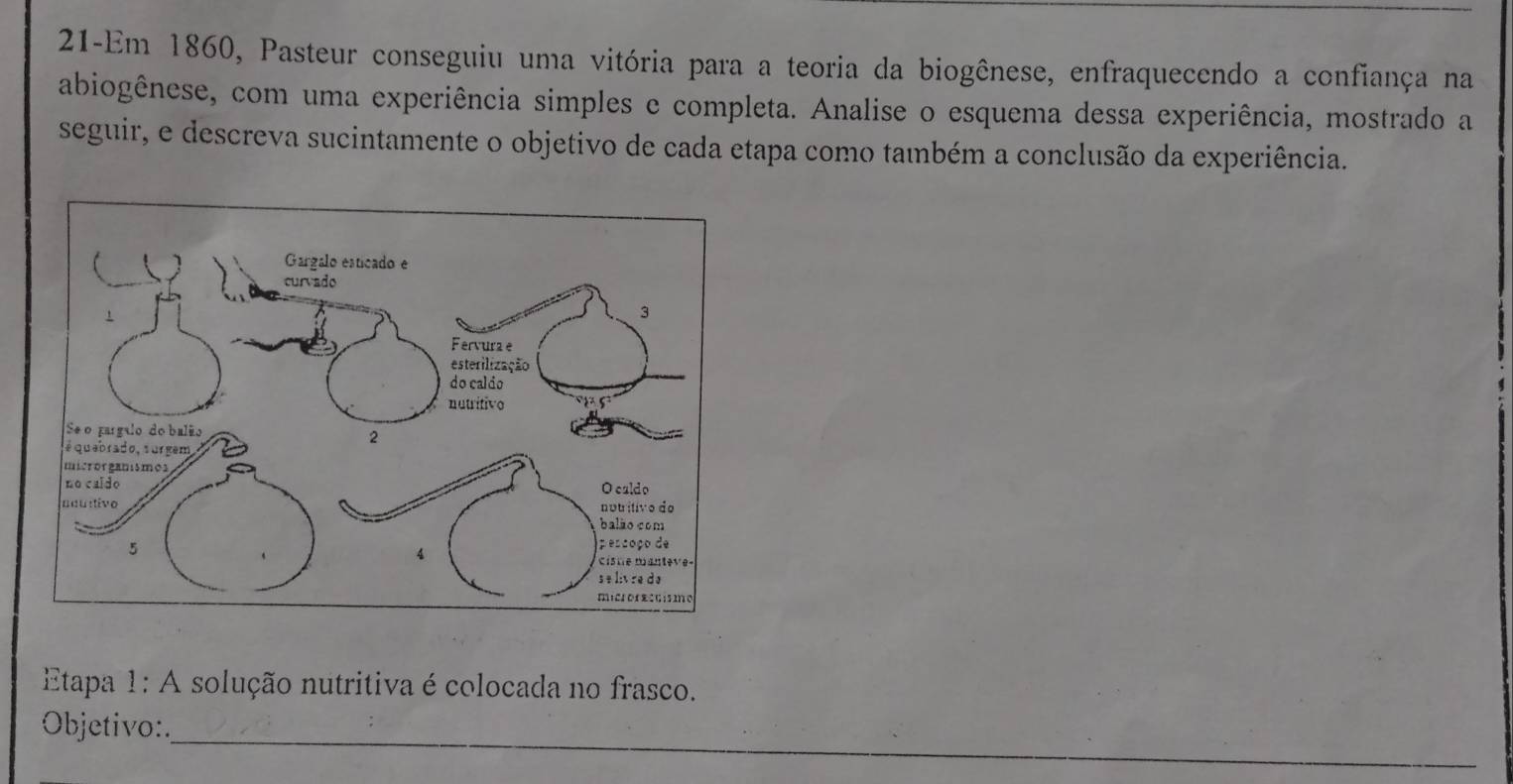 21-Em 1860, Pasteur conseguiu uma vitória para a teoria da biogênese, enfraquecendo a confiança na 
abiogênese, com uma experiência simples e completa. Analise o esquema dessa experiência, mostrado a 
seguir, e descreva sucintamente o objetivo de cada etapa como também a conclusão da experiência. 
Etapa 1: A solução nutritiva é colocada no frasco. 
Objetivo:. 
_