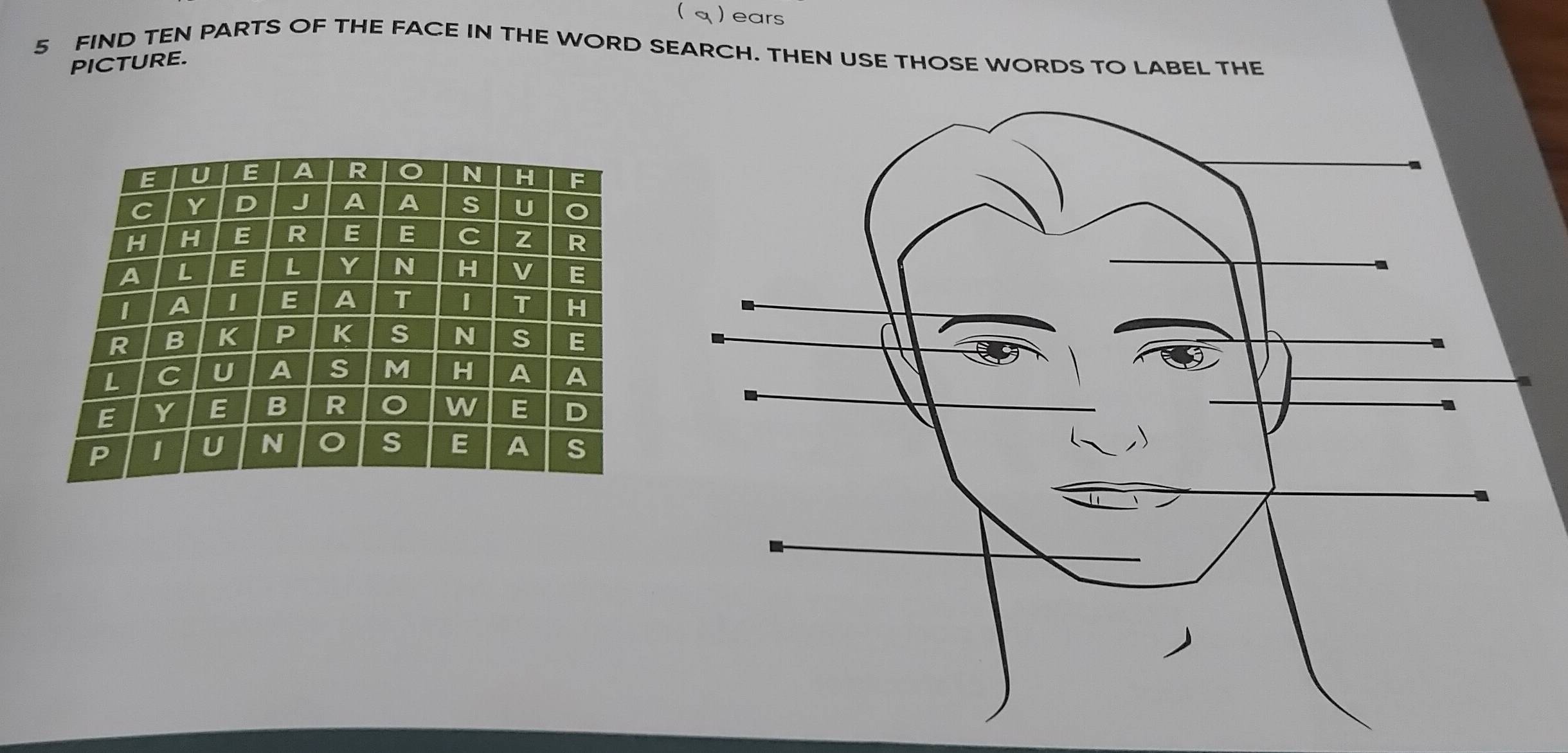 Resuelto:) ears 5 FIND TEN PARTS OF THE FACE IN THE WORD SEARCH. THEN ...