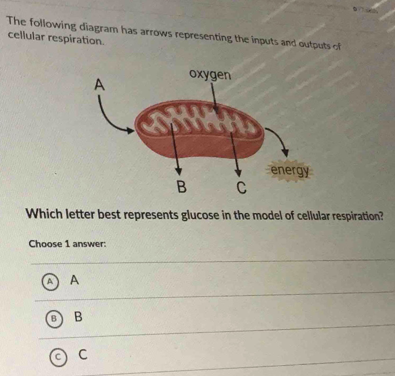 The following diagram has arrows representing the inputs and outputs of
cellular respiration.
Which letter best represents glucose in the model of cellular respiration?
Choose 1 answer:
A
B
C