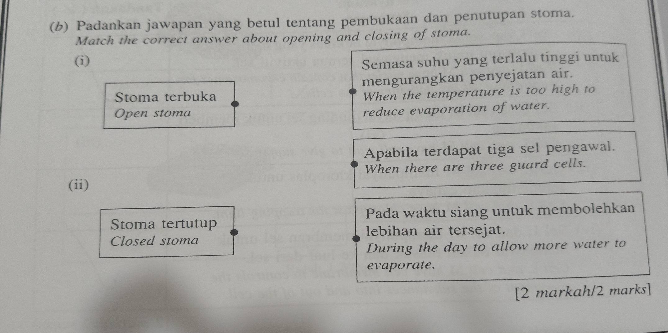 (6) Padankan jawapan yang betul tentang pembukaan dan penutupan stoma. 
Match the correct answer about opening and closing of stoma. 
(i) 
Semasa suhu yang terlalu tinggi untuk 
mengurangkan penyejatan air. 
Stoma terbuka 
When the temperature is too high to 
Open stoma 
reduce evaporation of water. 
Apabila terdapat tiga sel pengawal. 
When there are three guard cells. 
(ii) 
Pada waktu siang untuk membolehkan 
Stoma tertutup 
lebihan air tersejat. 
Closed stoma 
During the day to allow more water to 
evaporate. 
[2 markah/2 marks]