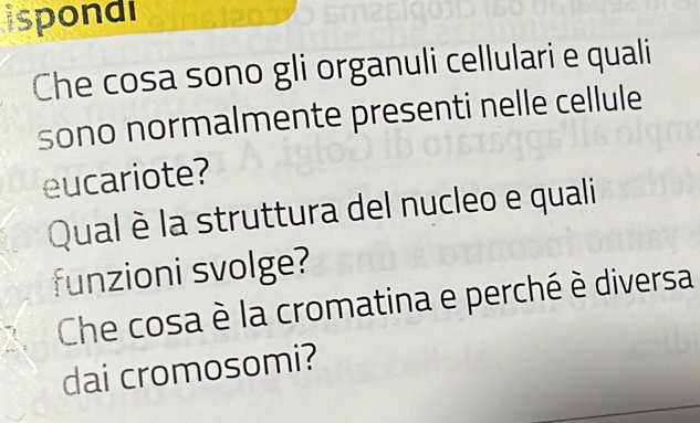 ispondi 
Che cosa sono gli organuli cellulari e quali 
sono normalmente presenti nelle cellule 
eucariote? 
Qual è la struttura del nucleo e quali 
funzioni svolge? 
Che cosa è la cromatina e perché è diversa 
dai cromosomi?