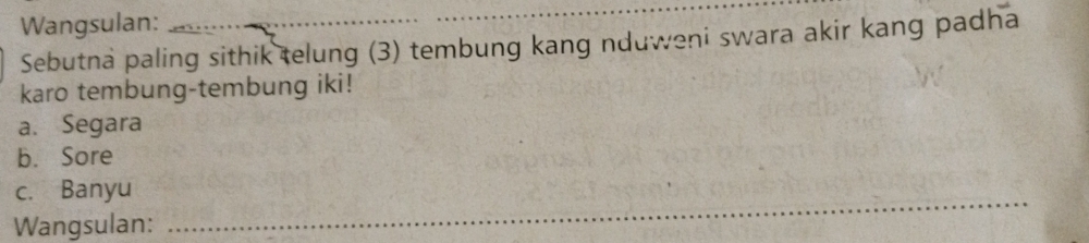 Wangsulan:_
Sebutna paling sithik telung (3) tembung kang nduweni swara akir kang padha
karo tembung-tembung iki!
a. Segara
b. Sore
c. Banyu
Wangsulan:
_