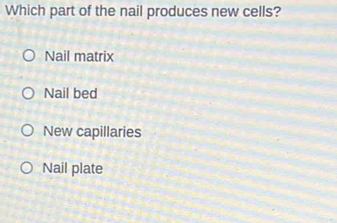 Which part of the nail produces new cells?
Nail matrix
Nail bed
New capillaries
Nail plate