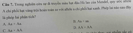 Trong nghiên cứu sự di truyền màu hạt đậu Hà lan của Mendel, quy ước allele
A chi phối hạt vàng trội hoàn toàn so với allele a chỉ phối hạt xanh. Phép lai nào sau đây
là phép lai phân tích?
A. Aa* Aa B. Aa* aa.
D. AA* AA.
C. Aa* AA. 
vi nhiễm sắc có