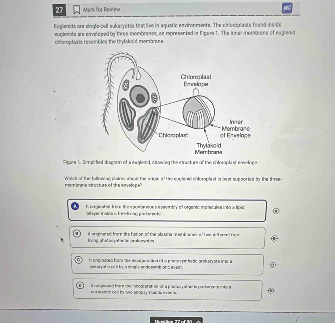 for Review AEC
Euglenids are single-cell eukaryotes that live in aquatic environments. The chloroplasts found inside
euglenids are enveloped by three membranes, as represented in Figure 1. The inner membrane of euglenid
chloroplasts resembles the thylakoid membrane.
Figure 1. Simplified diagram of a euglenid, showing the structure of the chloroplast envelope
Which of the following claims about the origin of the euglenid chloroplast is best supported by the three-
membrane structure of the envelope?
a It originated from the spontaneous assembly of organic molecules into a lipid
bilayer inside a free-living prokaryote.
B It originated from the fusion of the plasma membranes of two different free-
living photosynthetic prokaryotes.
D
C It originated from the incorporation of a photosynthetic prokaryote into a
eukaryotic cell by a single endosymbiotic event. (C)
D It originated from the incorporation of a photosynthetic prokaryote into a
eukaryotic cell by two endosymbiotic events.
Question 27 of 30