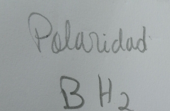 Polanidad
BH_2