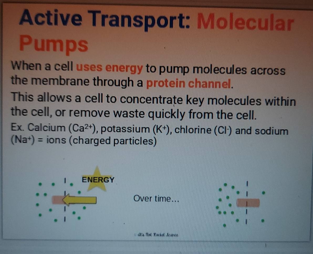 Active Transport: Molecular 
Pumps 
When a cell uses energy to pump molecules across 
the membrane through a protein channel. 
This allows a cell to concentrate key molecules within 
the cell, or remove waste quickly from the cell. 
Ex. Calcium (Ca^(2+)) , potassium (K^+) , chlorine (Cl·) and sodium
(Na^+)= ions (charged particles) 
Over time... 

2ta Pot Rocket Science