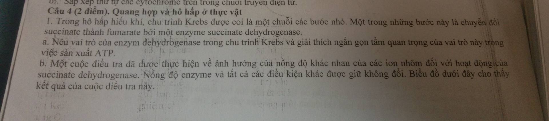 b2. Sap Xếp thư tự các cytochrome trên trong chuối truyen điện từ. 
Câu 4 (2 điểm). Quang hợp và hô hấp ở thực vật 
1. Trong hô hấp hiếu khí, chu trình Krebs được coi là một chuỗi các bước nhỏ. Một trong những bước này là chuyển đồi 
succinate thành fumarate bởi một enzyme succinate dehydrogenase. 
a. Nêu vai trò của enzym dehydrogenase trong chu trình Krebs và giải thích ngắn gọn tầm quan trọng của vai trò này trong 
việc sản xuất ATP. 
b. Một cuộc điều tra đã được thực hiện về ảnh hưởng của nổng độ khác nhau của các ion nhôm đối với hoạt động của 
succinate dehydrogenase. Nồng độ enzyme và tất cả các điều kiện khác được giữ không đổi. Biểu đồ dưới đây cho thấy 
kết quả của cuộc điều tra này.