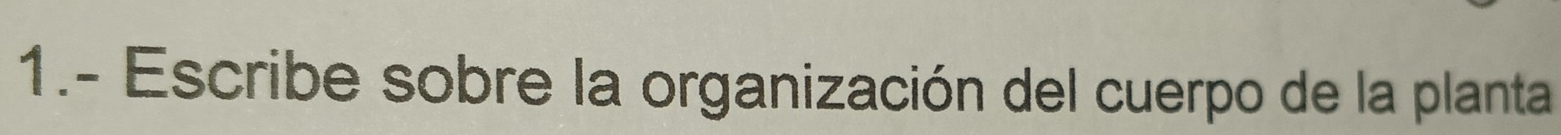 1.- Escribe sobre la organización del cuerpo de la planta