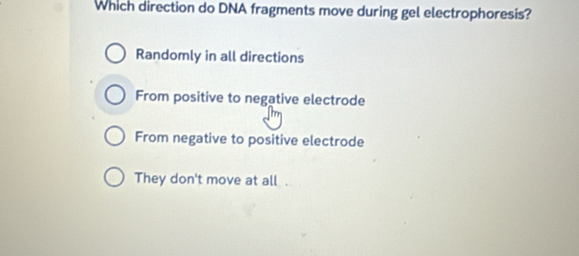 Which direction do DNA fragments move during gel electrophoresis?
Randomly in all directions
From positive to negative electrode
From negative to positive electrode
They don't move at all .