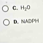 C. H_2O
D. NADPH