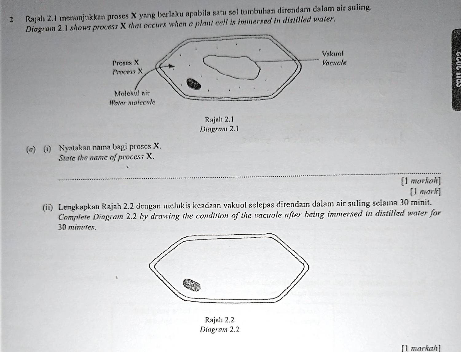 Rajah 2.1 menunjukkan proses X yang berlaku apabila satu sel tumbuhan direndam dalam air suling. 
Diagram 2.1 shows process X that occurs when a plant cell is immersed in distilled water. 
(σ) (i) Nyatakan nama bagi proscs X. 
State the name of process X. 
[1 markah] 
[1 mark] 
(ii) Lengkapkan Rajah 2.2 dcngan mclukis kcadaan vakuol selepas direndam dalam air suling sclama 30 minit. 
Complete Diagram 2.2 by drawing the condition of the vacuole after being immersed in distilled water for
30 minutes. 
Rajah 2.2 
Diagram 2.2 
[1 markah]