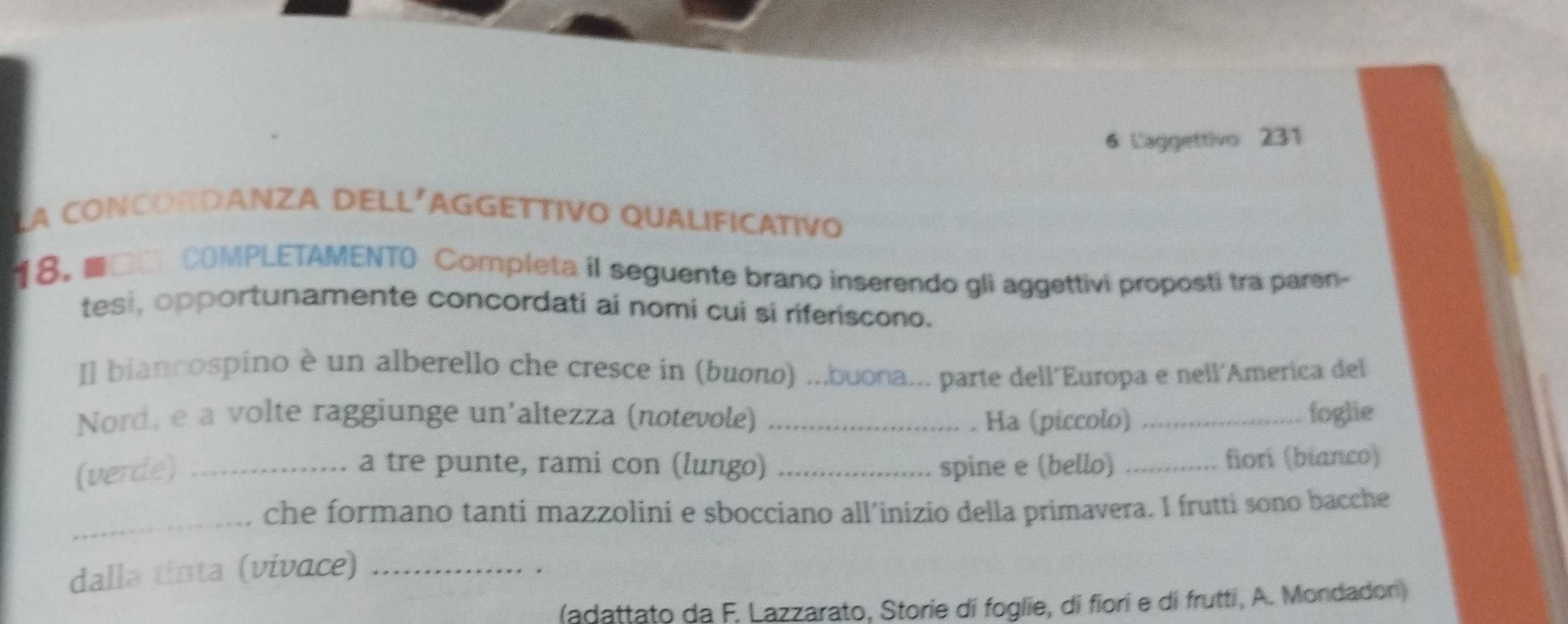 Laggettivo 231 
LA CONCORDANZA DELL'AGGETTIVO QUALIFICATIVO 
18. ■□□ COMPLETAMENTO Completa il seguente brano inserendo gli aggettivi proposti tra paren- 
tesi, opportunamente concordati ai nomi cui si riferiscono. 
Il biancospino è un alberello che cresce in (buσno) mbuona... parte dell´Europa e nell´America del 
Nord, e a volte raggiunge un'altezza (notevole) _Ha (piccolo) _foglie 
(verde) __spine e (bello) _fiorí (bianco) 
a tre punte, rami con (lungo) 
_ 
che formano tanti mazzolini e sbocciano all’inizio della primavera. I frutti sono bacche 
dalla tinta (vivace)_ 
. 
(adattato da F. Lazzarato, Storie di foglie, di fiorí e di frutti, A. Mondadon)