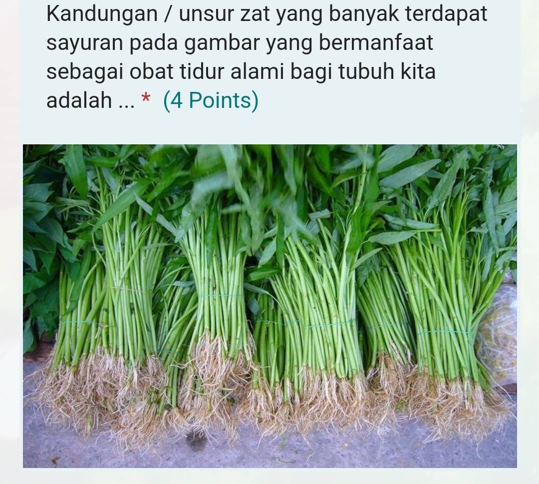 Kandungan / unsur zat yang banyak terdapat 
sayuran pada gambar yang bermanfaat 
sebagai obat tidur alami bagi tubuh kita 
adalah ... * (4 Points)