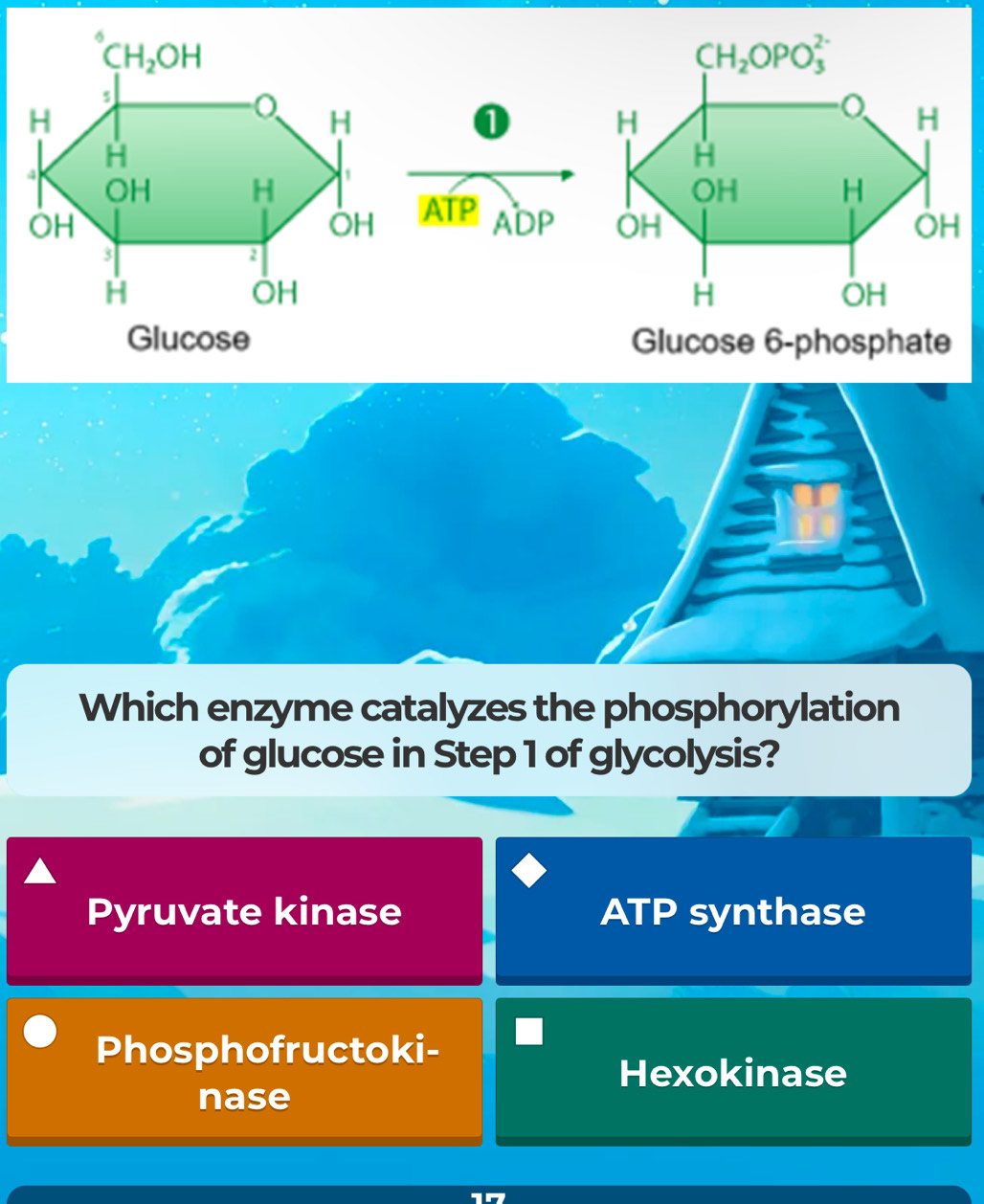 ATP
ADP 
Glucose 6-phosphate
Which enzyme catalyzes the phosphorylation
of glucose in Step 1 of glycolysis?
Pyruvate kinase ATP synthase
Phosphofructoki-
Hexokinase
nase