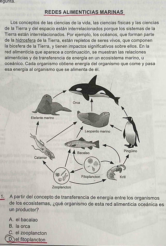 egunta.
REDES ALIMENTICIAS MARINAS
Los conceptos de las ciencias de la vida, las ciencias físicas y las ciencias
de la Tierra y del espacio están interrelacionados porque los sistemas de la
Tierra están interrelacionados. Por ejemplo, los océanos, que forman parte
de la hidrosfera de la Tierra, están repletos de seres vivos, que componen
la biosfera de la Tierra, y tienen impactos significativos sobre ellos. En la
red alimenticia que aparece a continuación, se muestran las relaciones
alimenticias y de transferencia de energía en un ecosistema marino, u
oceánico. Cada organismo obtiene energía del organismo que come y pasa
esa energía al organismo que se alimenta de él.
1. A partir del concepto de transferencia de energía entre los organismos
de los ecosistemas, ¿qué organismo de esta red alimenticia oceánica es
un productor?
A. el bacalao
B. la orca
C. el zooplancton
D. el fitoplancton