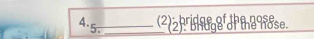 2); bridge of the nose 
5. _(2): bluge of the nose.