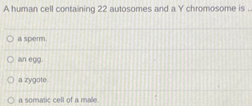 A human cell containing 22 autosomes and a Y chromosome is .
a sperm.
an egg.
a zygote.
a somatic cell of a male