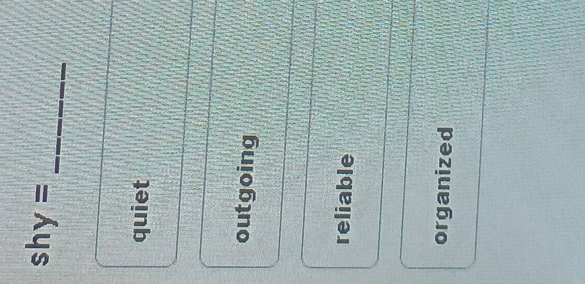 shy=
quiet
outgoing
reliable
organized