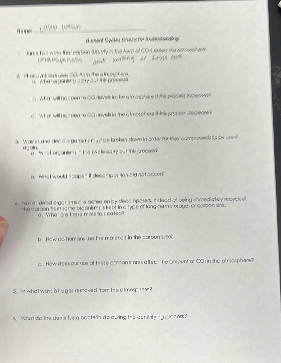 Name 
_ 
Nutrient Cycles Check for Understanding 
Name twe ways that carben (usually in the form of COA) enters the dimousiner 
poo sugn mæss 
2. Photesynthesis uses CO: from the atmosphere. 
a. What organisms carry out this process? 
b. What will happen to CO: levels in the atmosphere it this process increpseh 
e. What will happen to CO: levels in the atmosphere if this process decreou 
3. Wastes and dead organisms must be broken down in order for their components to be used 
again. 
a. What organisms in the cycle carry out this process? 
b. What would happen if decomposition did not occur? 
4. Not all dead organisms are acted on by decomposers, Instead of being immediately recycled. 
the carbon from some organisms is kept in a type of long-term storage, or carbon sink. 
a. What are these materials called? 
b、 How do humans use the materials in the carbon sink? 
c、 How does our use of these carbon stores affect the amount of CO₂in the atmosphere? 
5. In what ways is N₂ gas removed from the atmosphere? 
6. What do the denitrifying bacteria do during the denitrifying process?