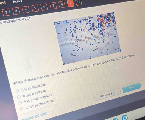 est Active
2 3 4 5 6 1 8
9 10
s acidophilus yogurt.
Which characteristic proves Lactobacillus acidoacteria
It is multicellular.
Neks
It has a cell wall.
It is a microorganism.
Save and Exit
It has peptidoglycan.
Mark this and retur