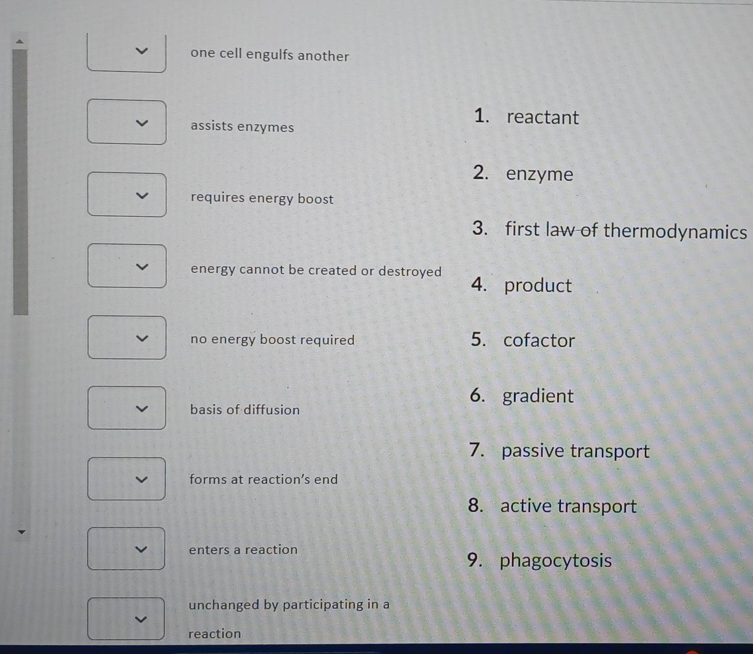 one cell engulfs another 
1. reactant 
assists enzymes 
2. enzyme 
requires energy boost 
3. first law of thermodynamics 
energy cannot be created or destroyed 
4. product 
no energy boost required 5. cofactor 
6. gradient 
basis of diffusion 
7. passive transport 
forms at reaction’s end 
8. active transport 
enters a reaction 
9. phagocytosis 
unchanged by participating in a 
reaction