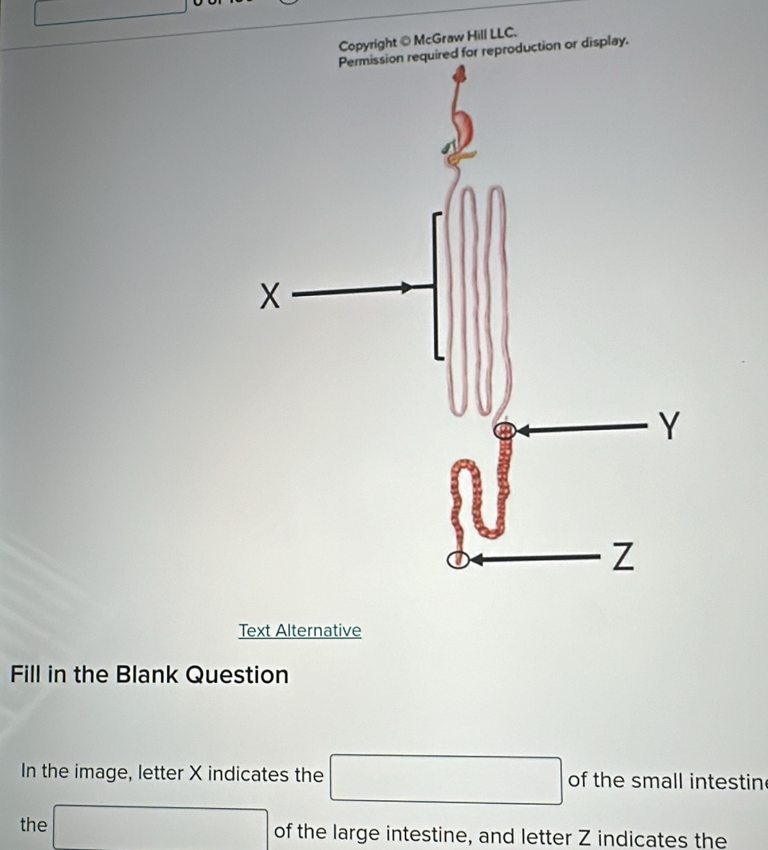 Copyright @McGraw Hill LLC. 
duction or display. 
Text Alternative 
Fill in the Blank Question 
In the image, letter X indicates the □ of the small intestin 
the 3*  a/2 - (b+4)/2 -1= □ /□   of the large intestine, and letter Z indicates the