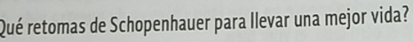 Qué retomas de Schopenhauer para llevar una mejor vida?