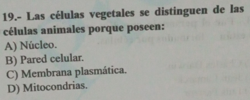 19.- Las células vegetales se distinguen de las
células animales porque poseen:
A) Núcleo.
B) Pared celular.
C) Membrana plasmática.
D) Mitocondrias.