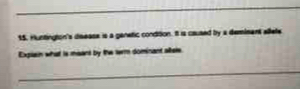 Huntington's dsease is a genetic condition. It is caused by a demimant allete 
Explain what is meant by the tem dominant altele.