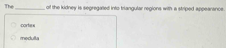 The_ of the kidney is segregated into triangular regions with a striped appearance.
cortex
medulla